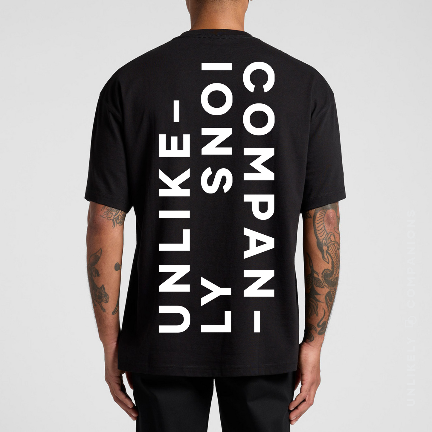 Unlikely Companions Tee